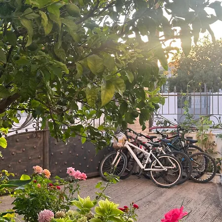 Dalanaj Apartamento *
